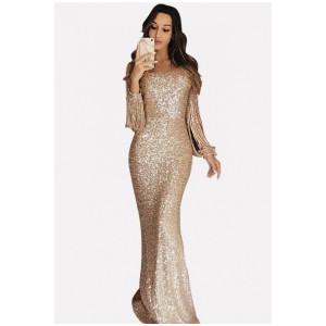 Glitter Sequin Fringe Long Sleeve Beautiful Maxi Dress